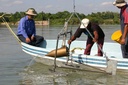 Using the Suspended load sampler, Delft bottle