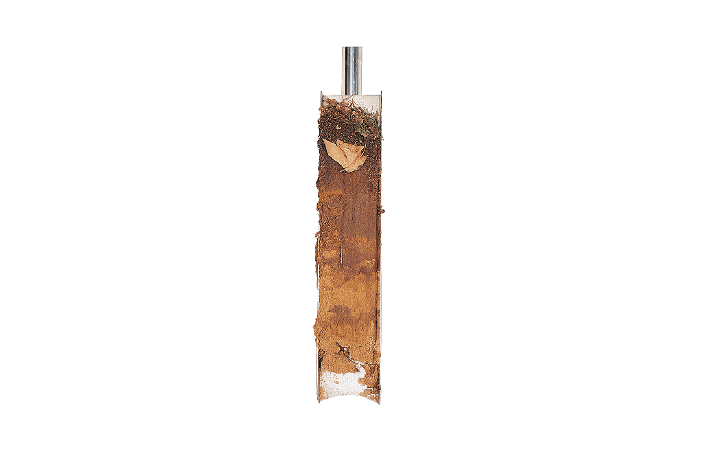 Profile sampler with sample