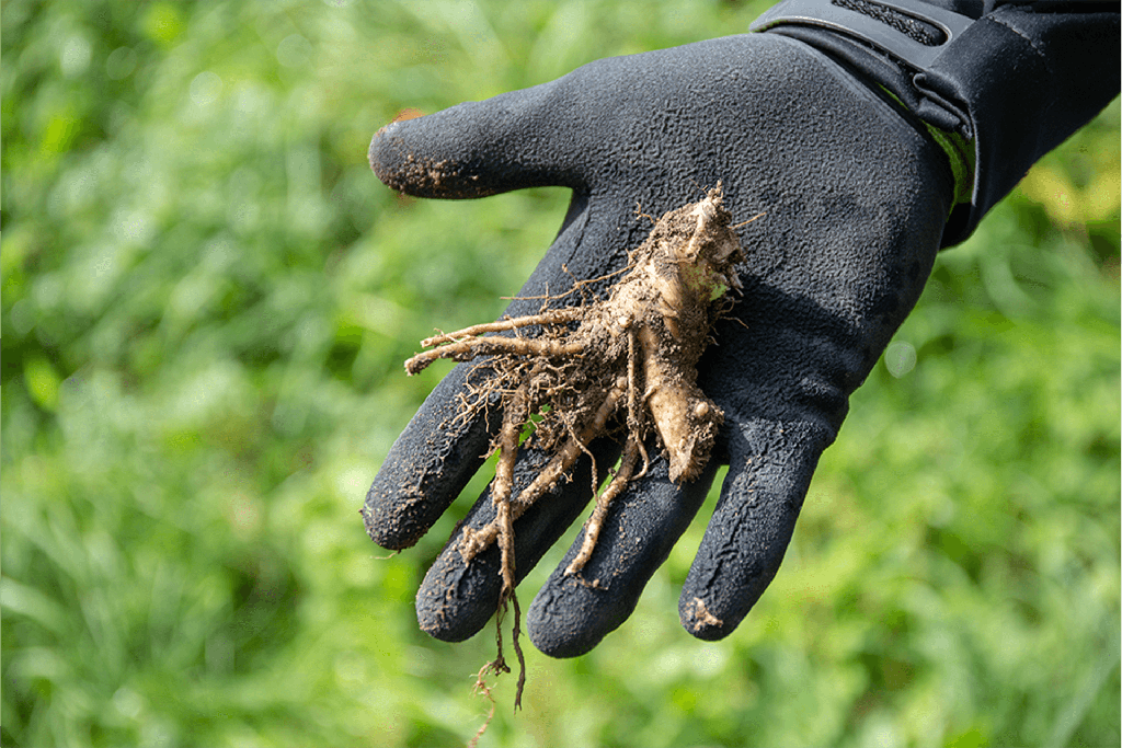 Hogweed auger, single, Ø 9 cm