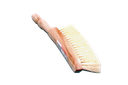 Cleaning brush RAW set